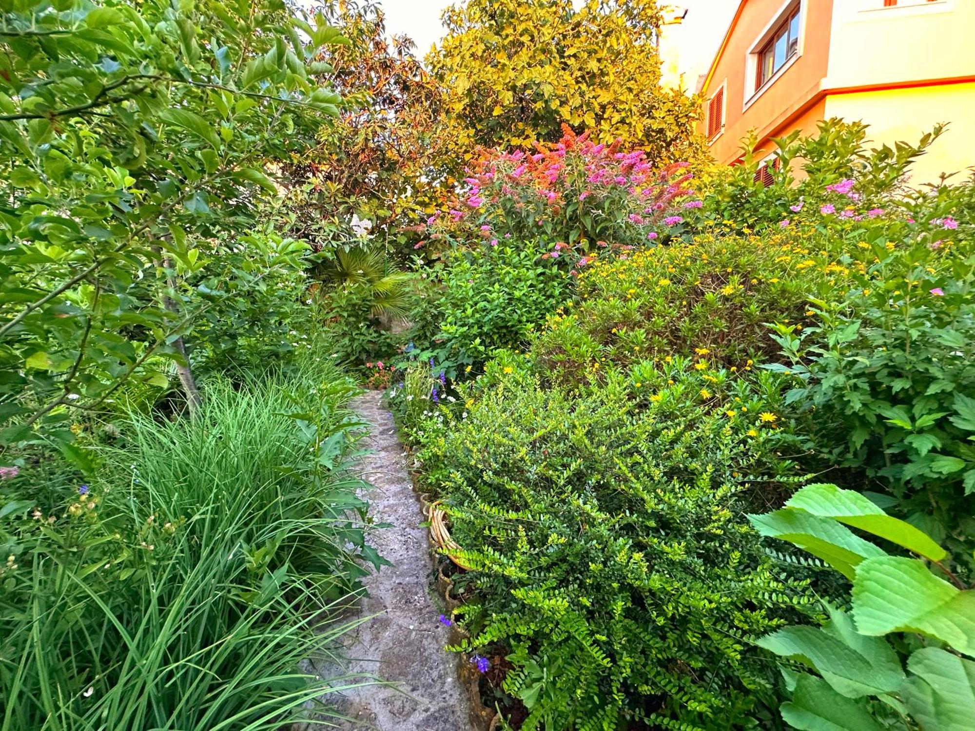 Apartments Cvita Вели-Лошинь Экстерьер фото